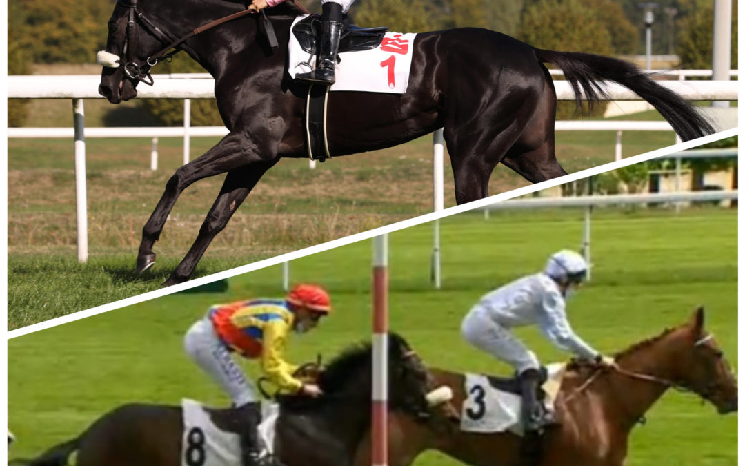 SHERIFF UND KAHAR NACH NANCY