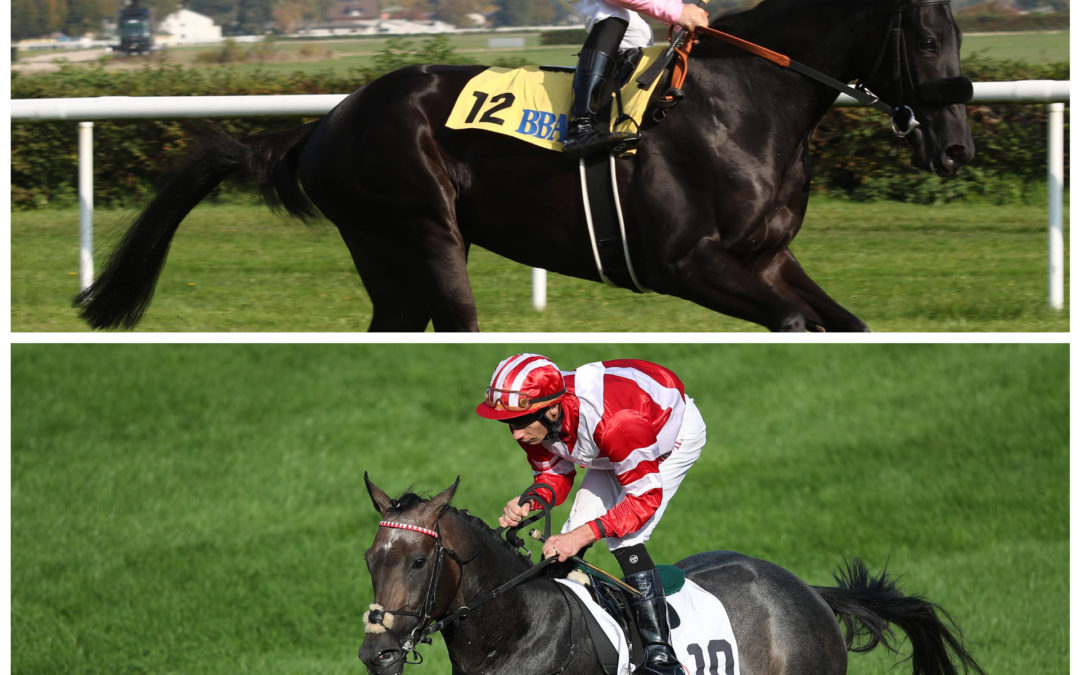 ZWEI “PS” AM MONTAG IN LE MANS