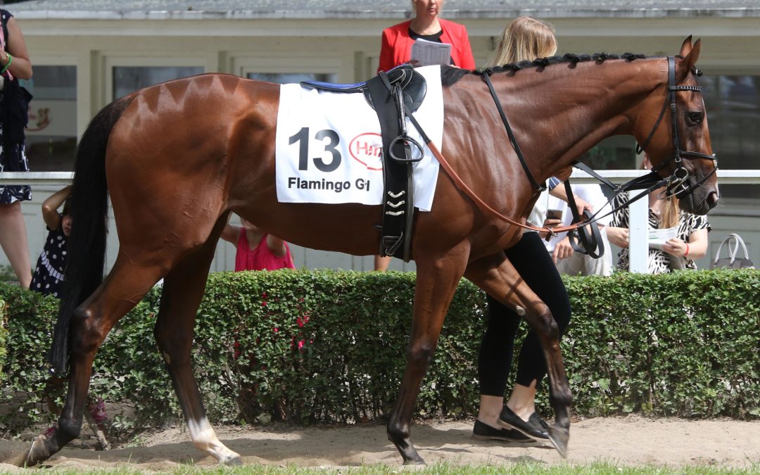 NACH ROM JETZT HANNOVER