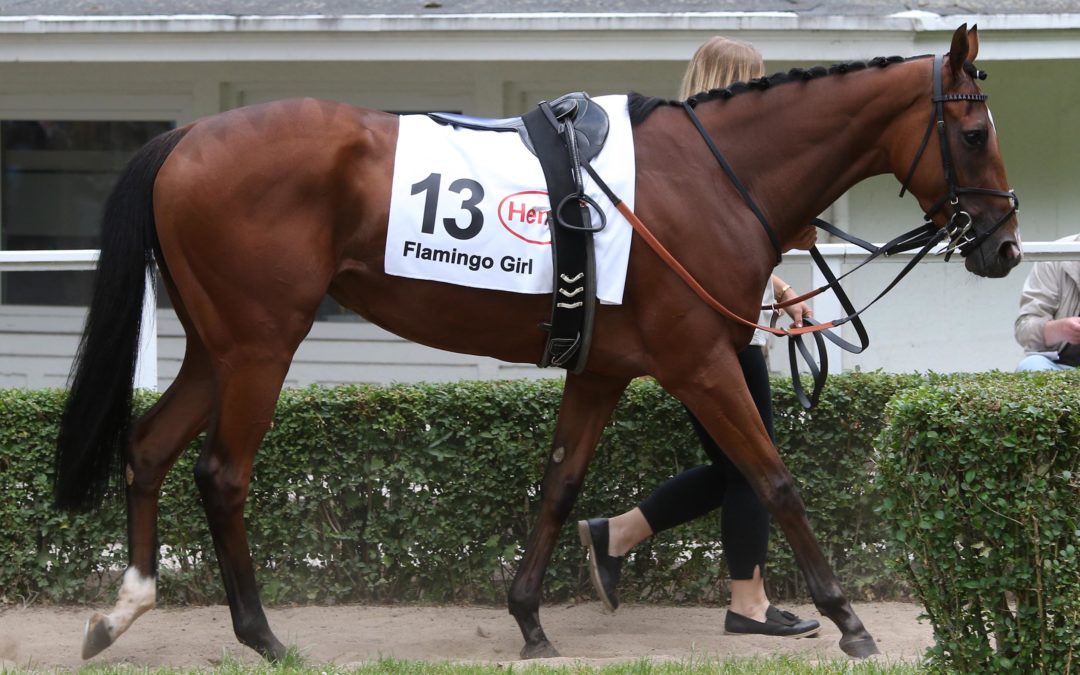 ZUR UNTERSUCHUNG NACH HANNOVER