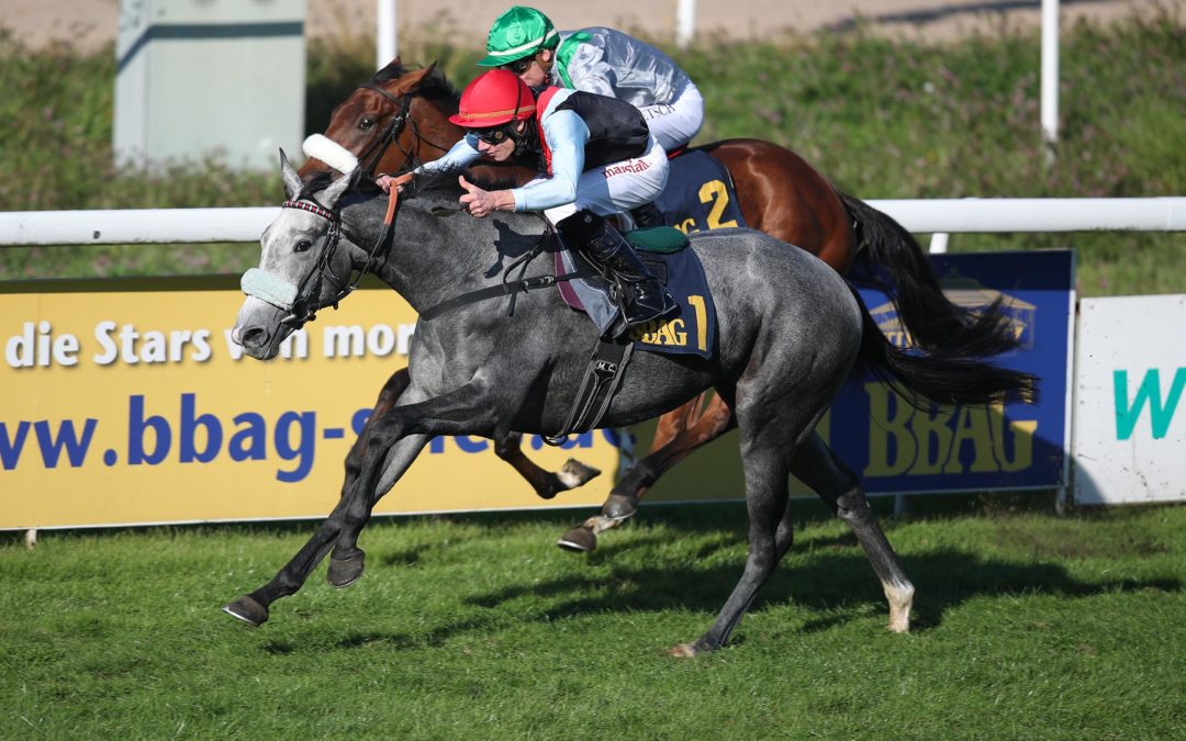 ATOMIC BLONDE WIE DIE MUTTER