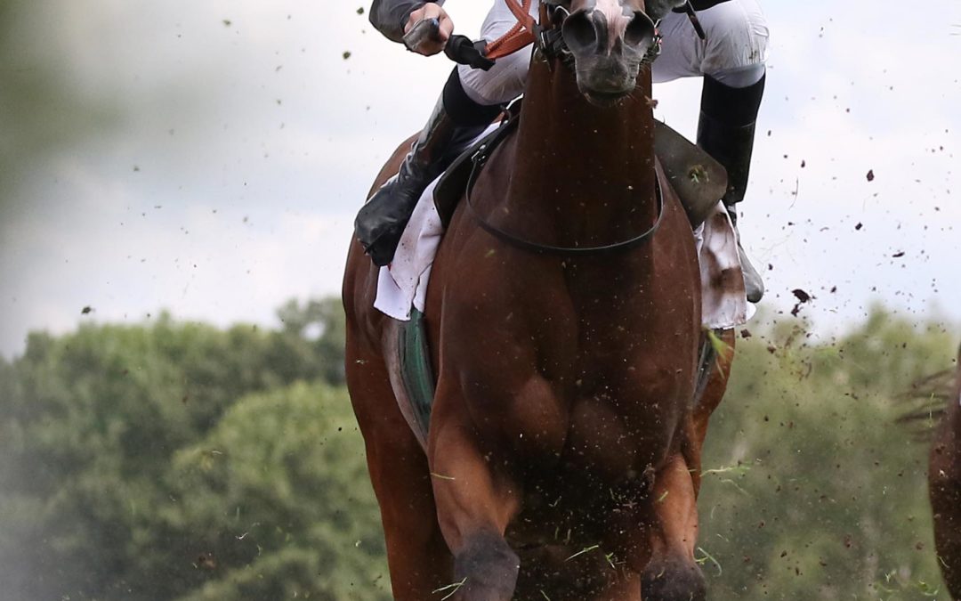 DiESMAL OHNE MÖGLICHKEITEN