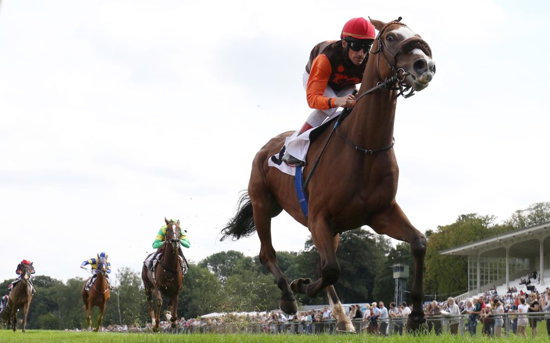 MIT CHANCEN AUF DIE VAHR