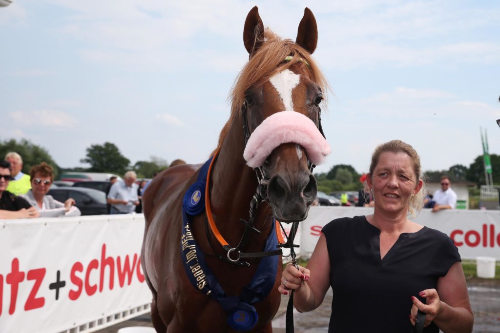 SISFAHAN Zum BREEDERS‘ CUP TURF