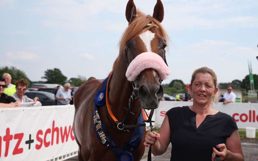 SISFAHAN Zum BREEDERS’ CUP TURF