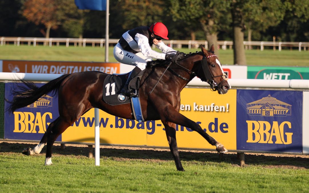 SILUTO IMPONIERT STart ZIEL IM BBAG