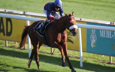 MAGICAL BEAT BEIM ZWEITEN START TOP