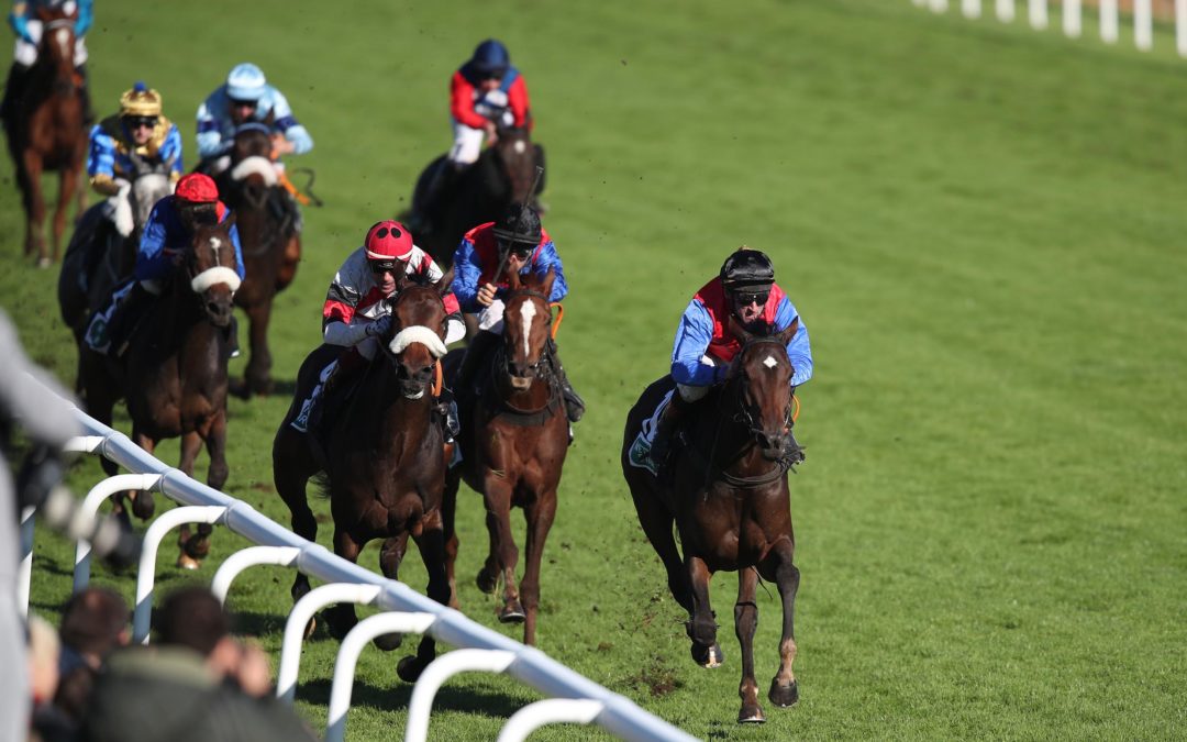 SECHSTE BEI GRUPPE-DEBUT