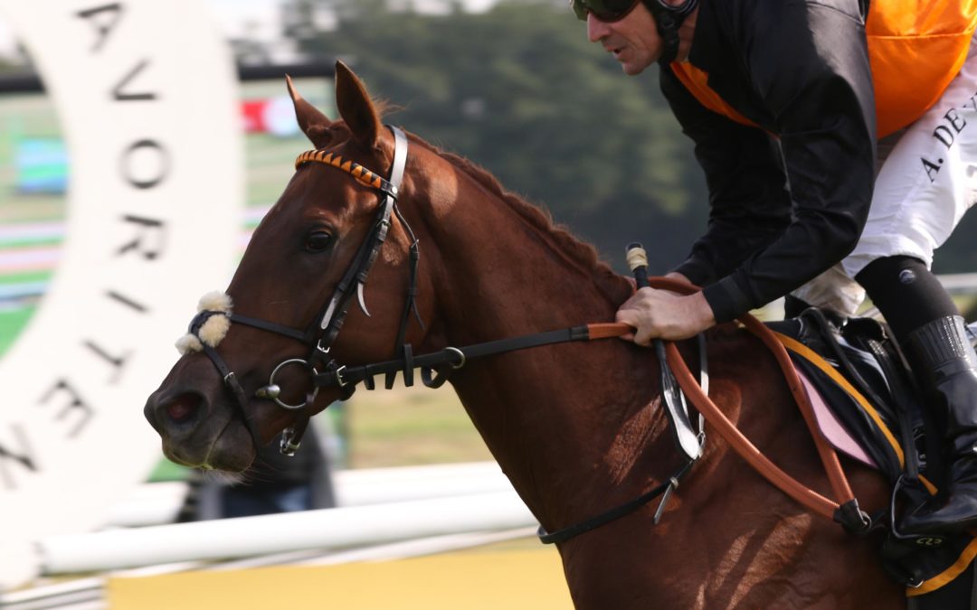 SCHOCKDIAGNOSE – SEA BAY MIT Fissur