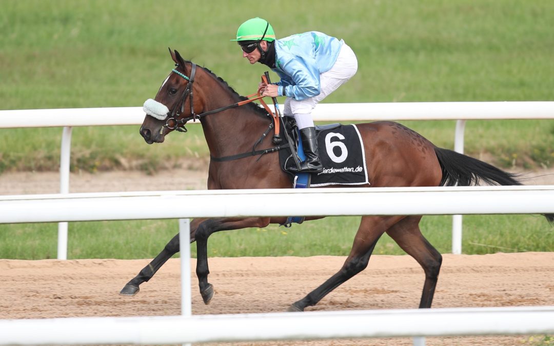 MACHT’S NOCHMAL DING DONG?