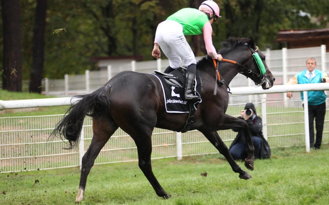 KHAN KANN HÜRDEN – DRITTER SIEG