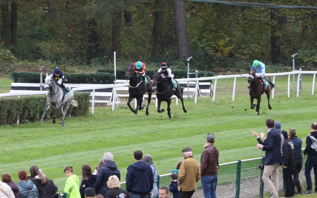 ALS DRITTE SIEGFORM BESTÄTIGT