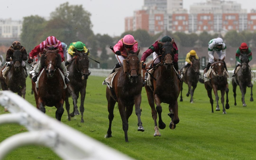 INS MITTELTREFFEN GELAUFEN