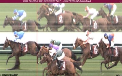 Letztes Preisgeld im ARQANA