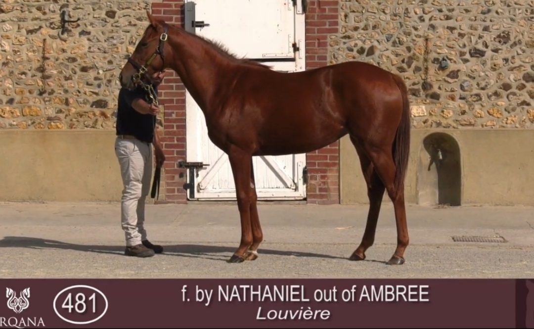 DRITTER TAG – DRITTER KAUF