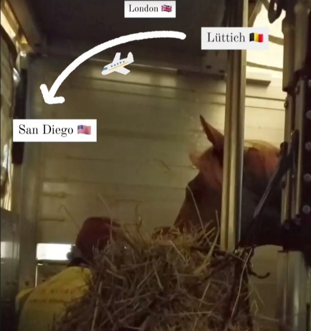 ZWEIBEINER DA – VierbEiner UNTERWEGS