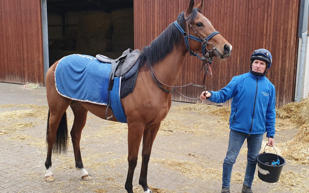 FRANZÖSIN VERSTÄRKT 2-JÄHRIGEN LOT