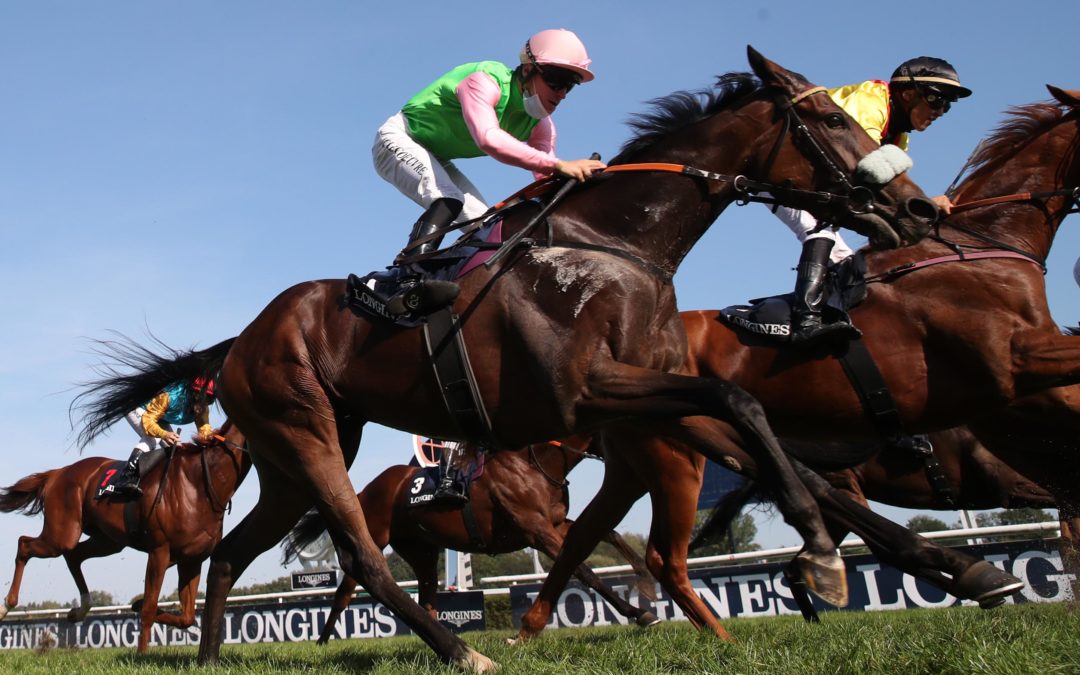 KEINEN KÄUFER GEFUNDEN