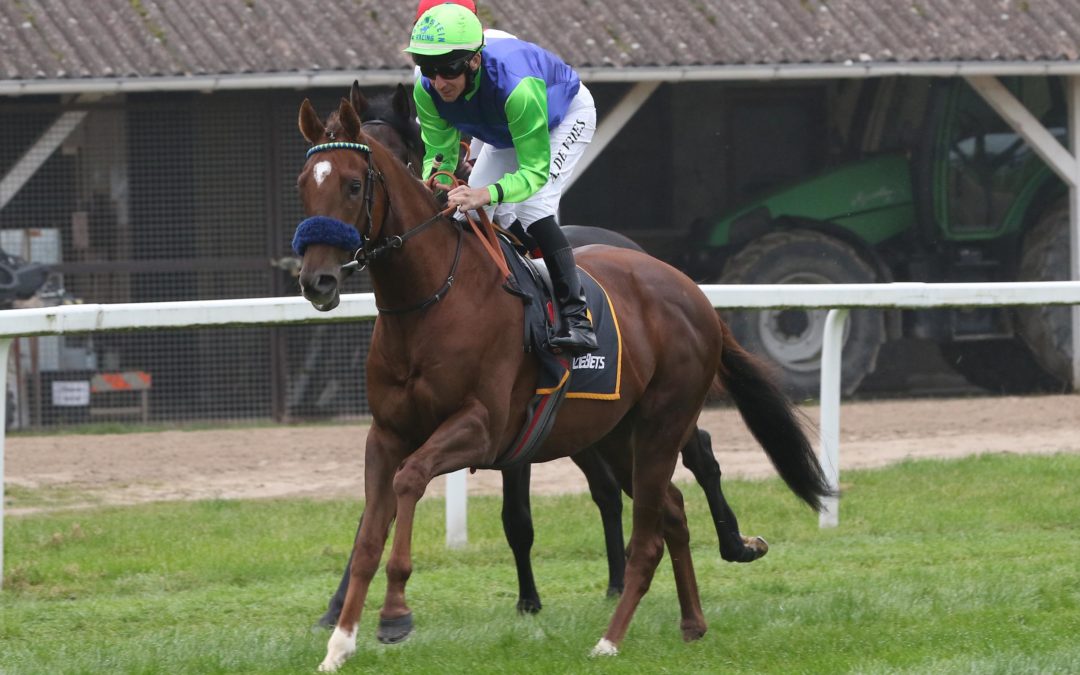 EINEN STARTER IM MÜNCHENER BBAG