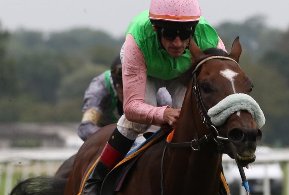 AUCH AUF SAND KEIN SIEG