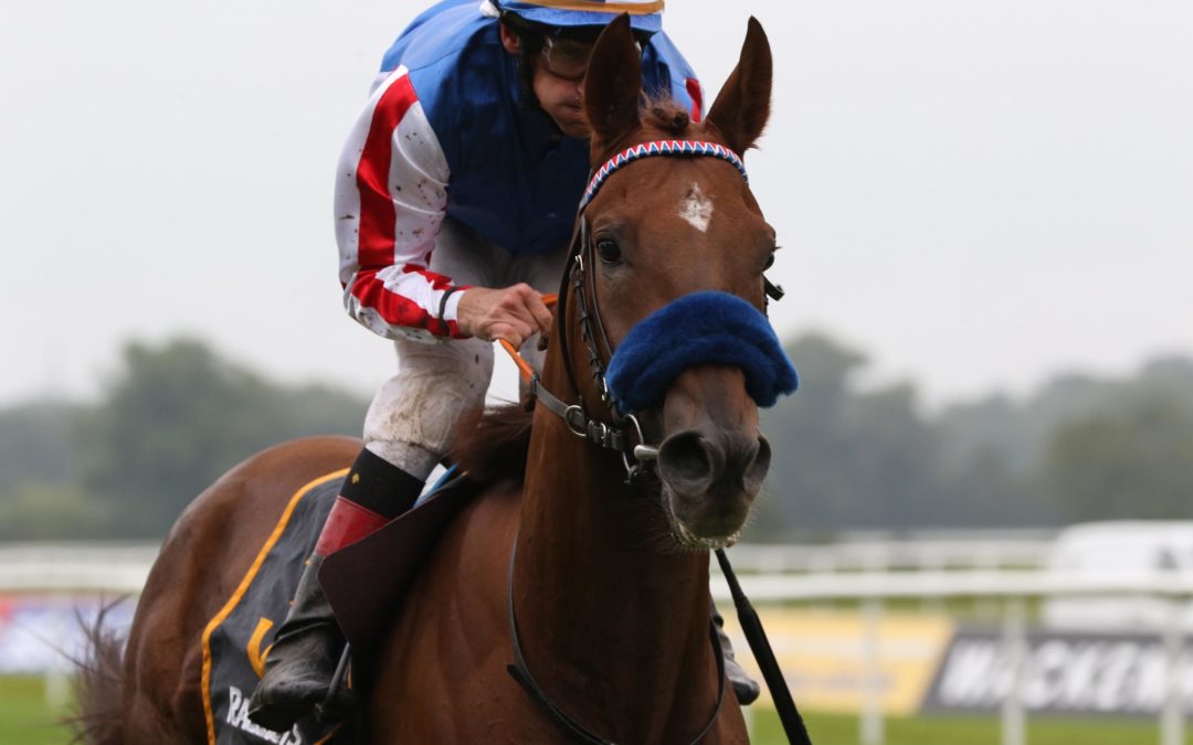 WILANTOS GEHT NACH TSCHECHIEN