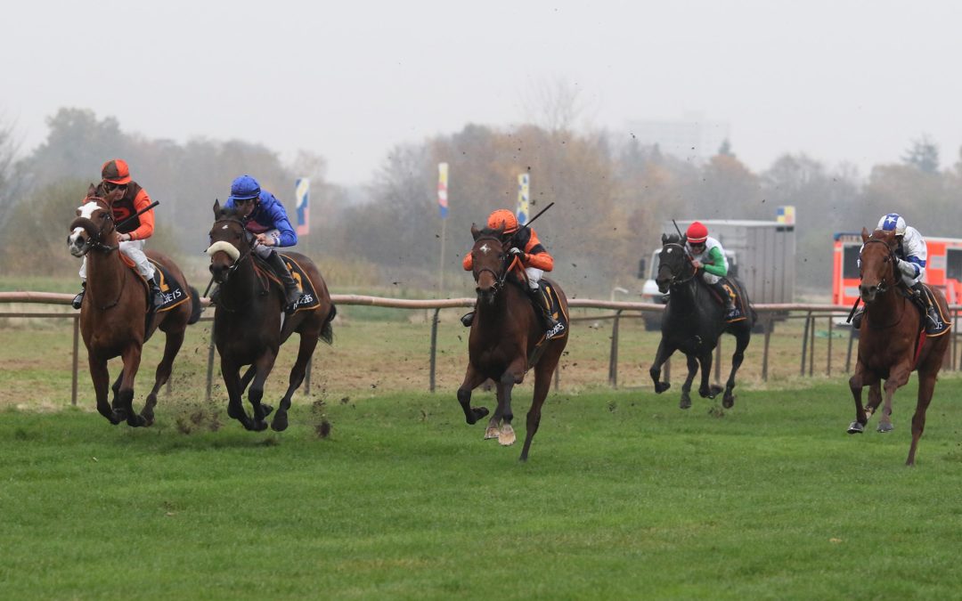 LANGE AUF DER SIEGERSTSRASSE