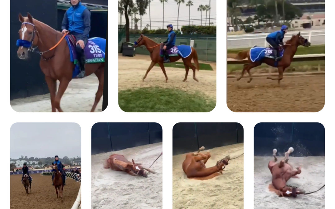 IMPRESSIONEN DER MORGENARBEIT