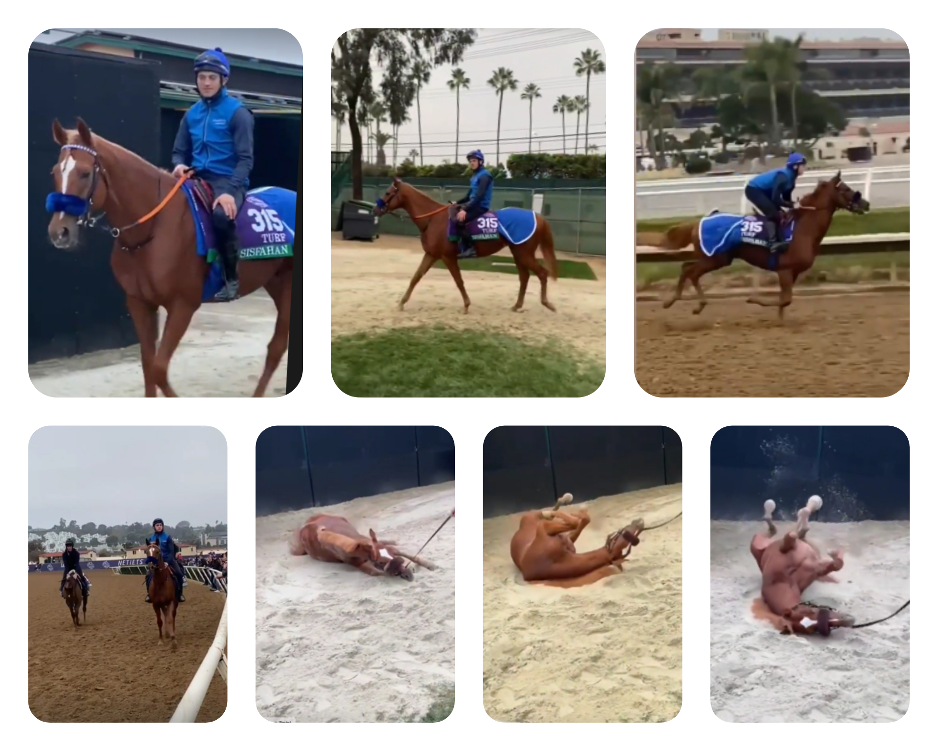 CollageMaker_20211102_235807119