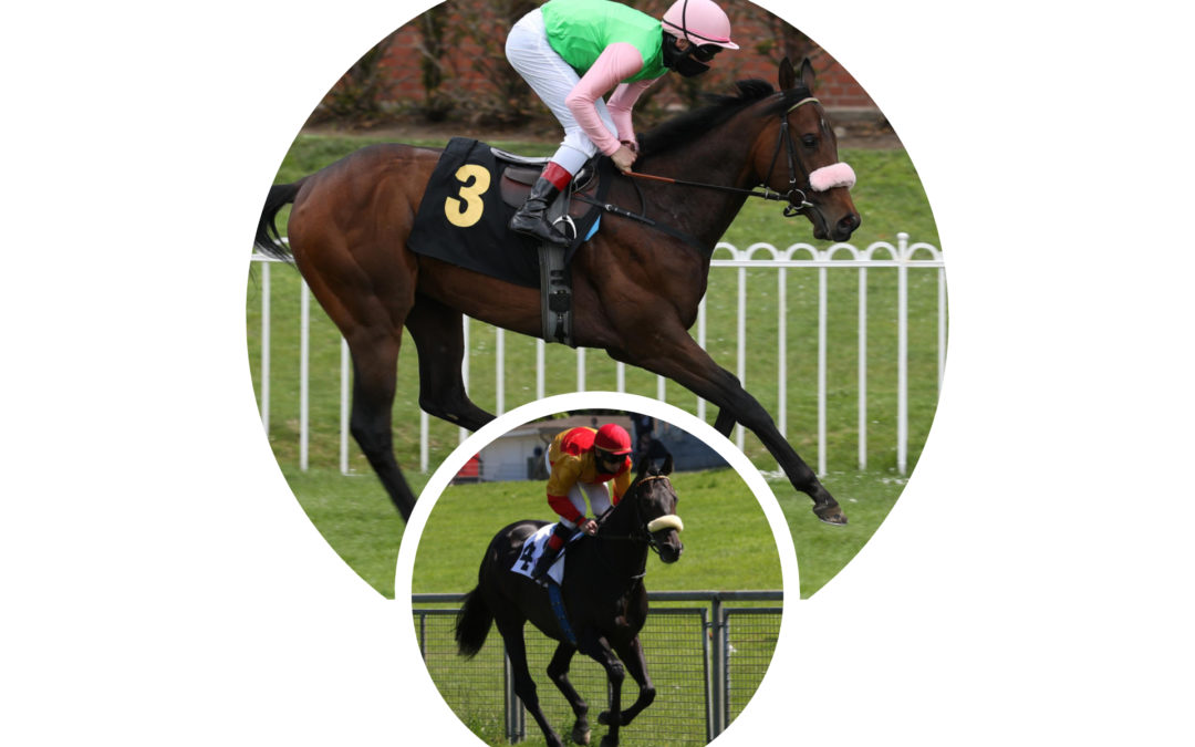 DOPPELSPITZE IM PREMIO RIBOT