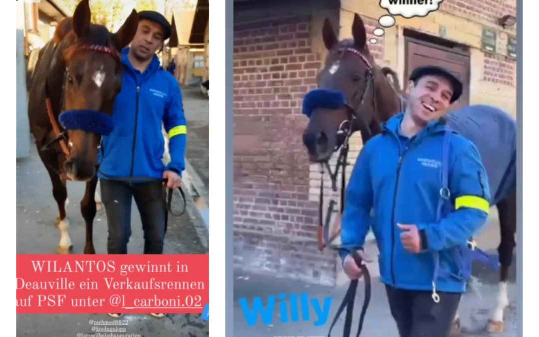 DER SIEGER VORHER UND Nachher