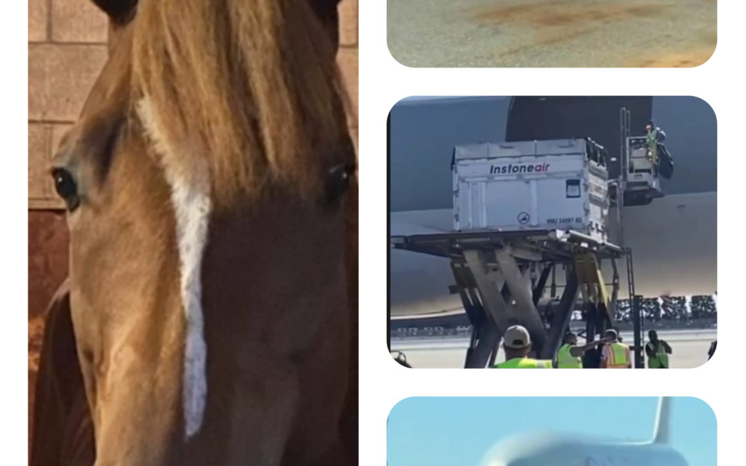 SISFAHAN SAGT BYE BYE AMERIKA