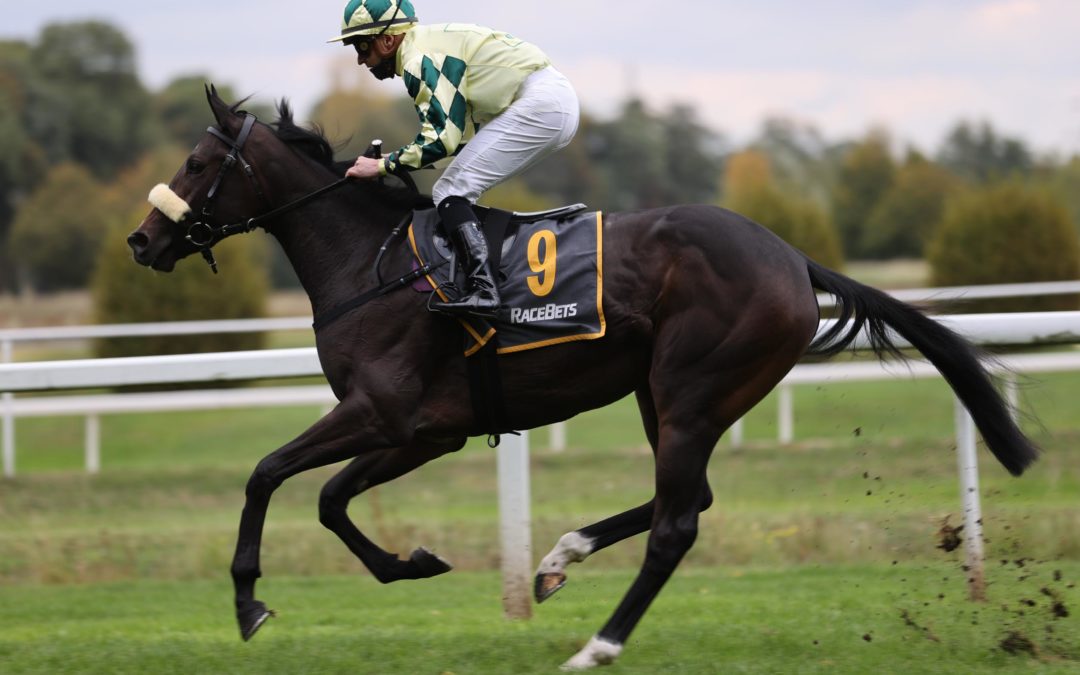 PALAU KANN NACHLEGEN IN AMIENS