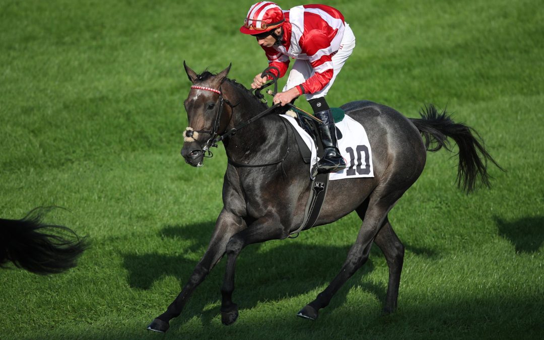 NACH LETZTER FORM FÄLLIG