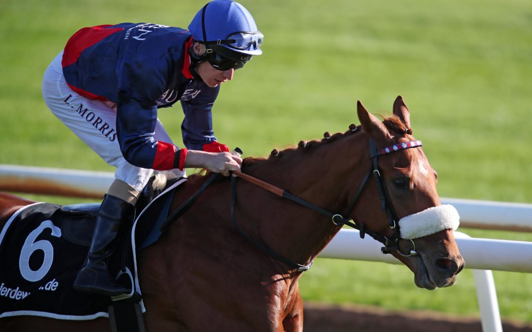 MAGICAL BEAT MIT VOLLPECH