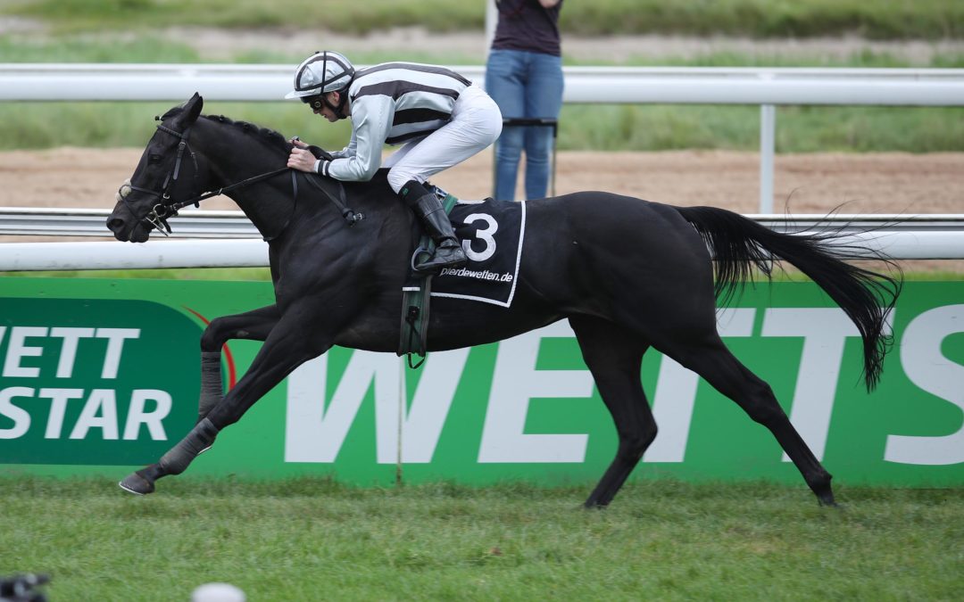 IN BESSEREN RENNEN OHNE GELD