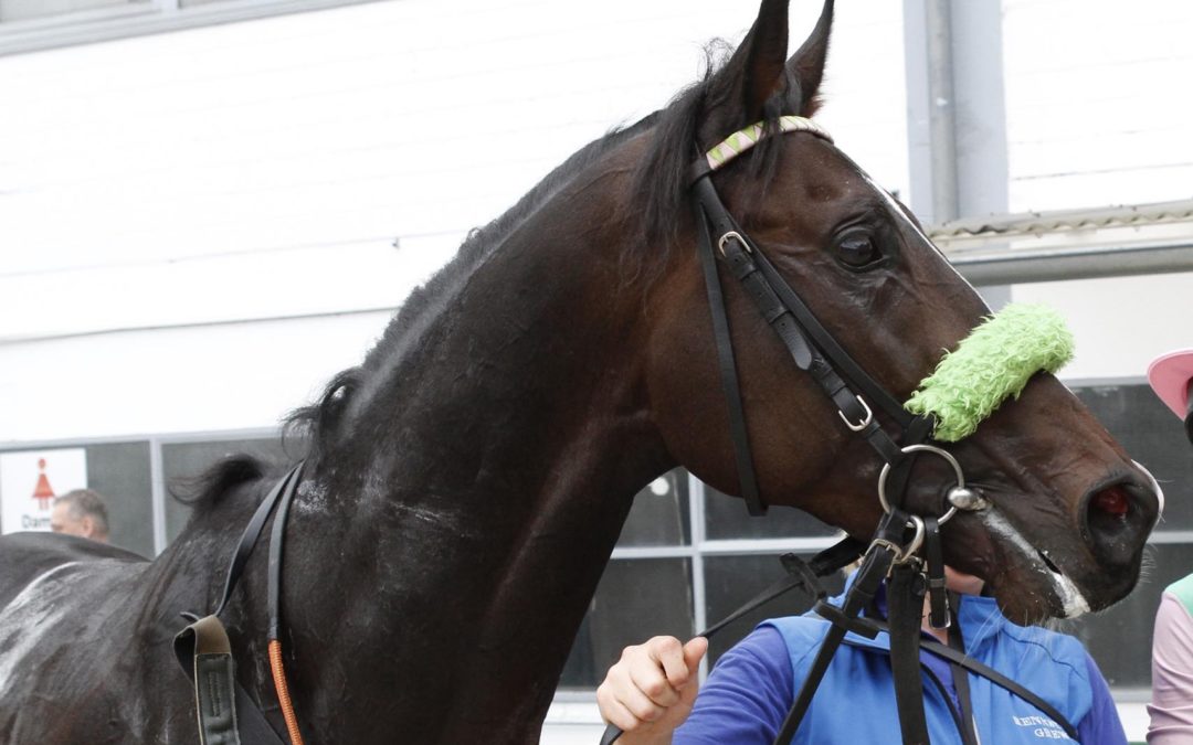 UNTER ERWARTUNGEN GEBLIEBEN
