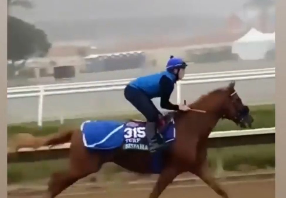 NOCH 3 TAGE – SISFAHAN NIMMT FAHRT AUF