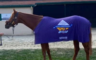 BREEDER’S CUP OUTFIT PASST WIE ANGEGOSSEN