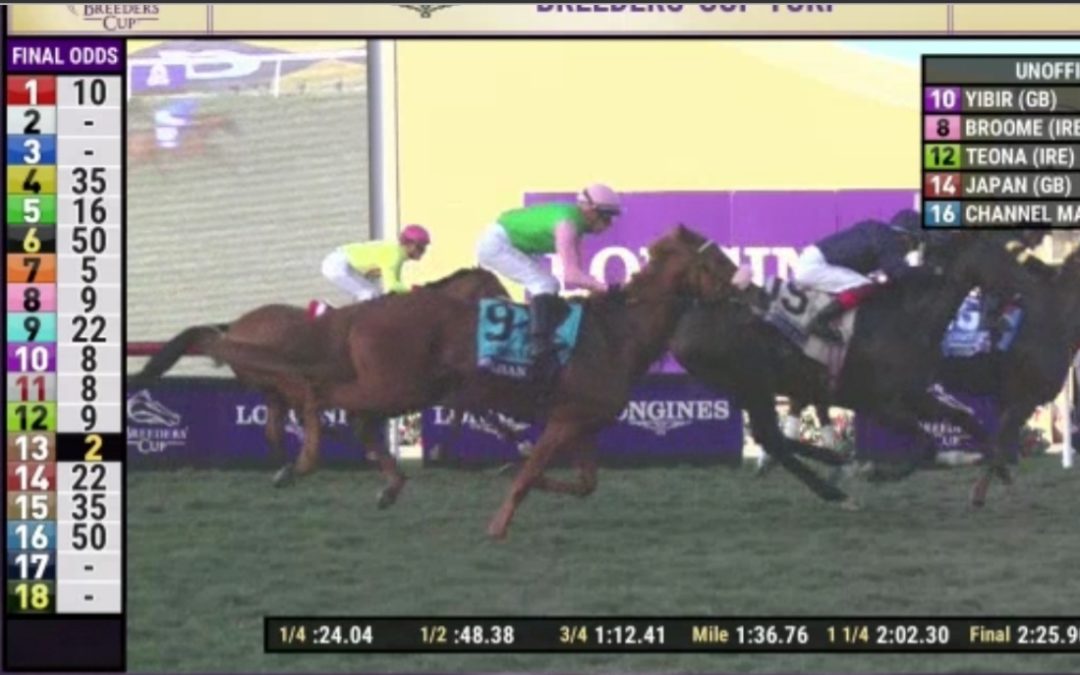 ACHTBARER SIEBTER IM BC-TURF