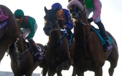 SISFAHAN IM BC- POSITIVES RESUMEE