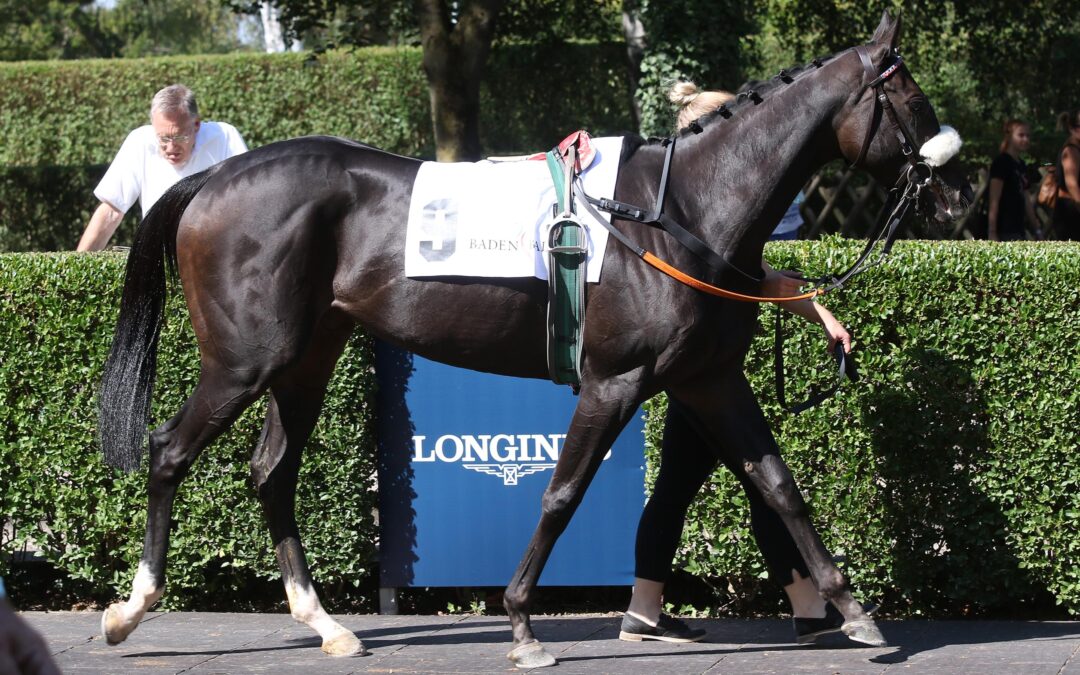 200.000 EURO FÜR SCHWESTERHERZ