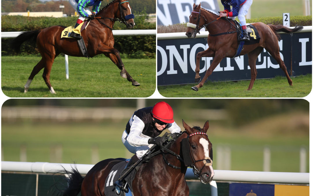 TRIO IM MÜLHEIMER BBAG RENNEN