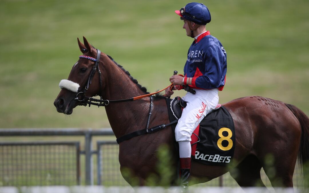 ZUM ABSCHIED NOCHMAL IM GELD