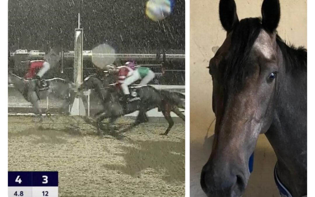 WEITER AUF ERSTEN SIEG WARTEN