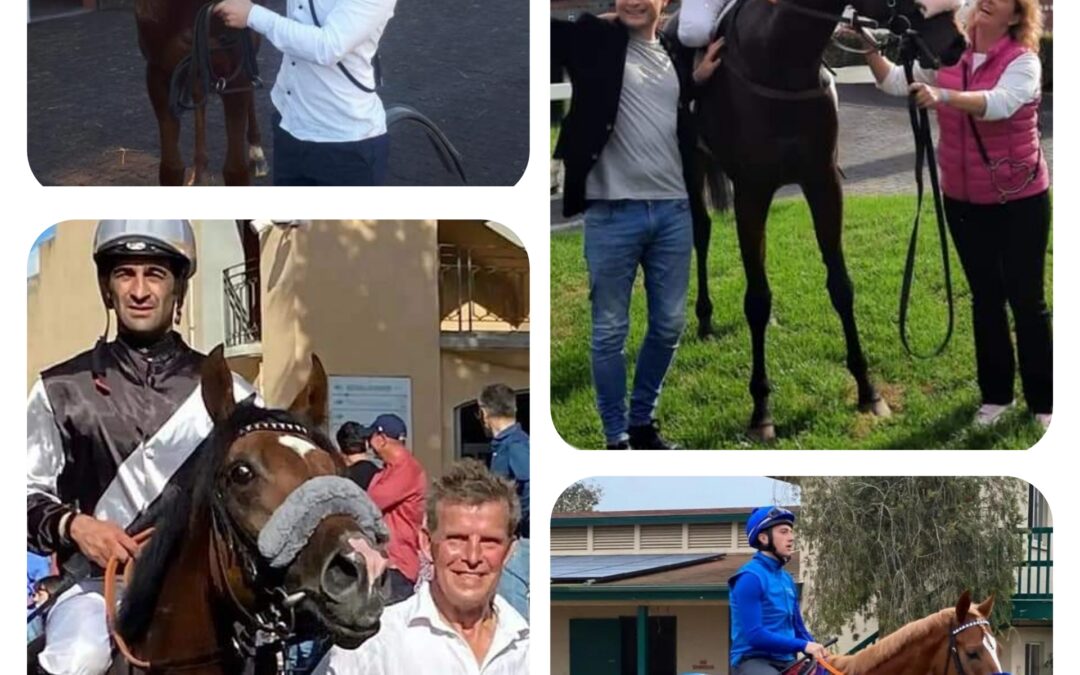 EINE KLEINE AUSLANDSBILANZ