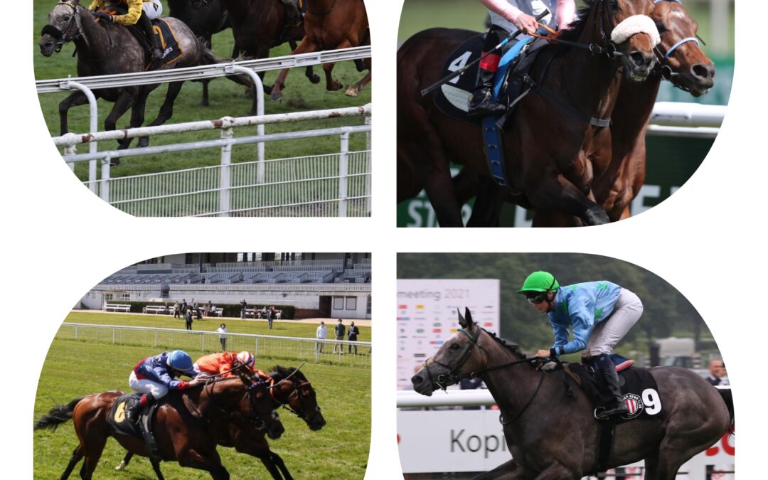 DIE LISTEN SIEGER 2021