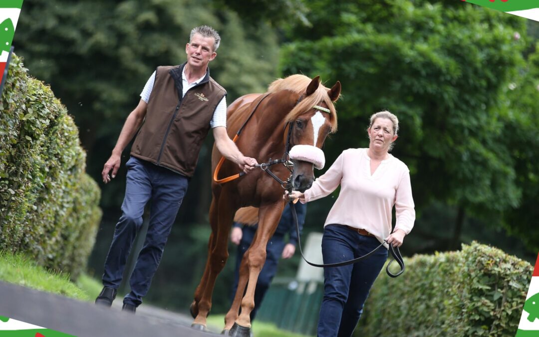 FROHER VIERTER ADVENT