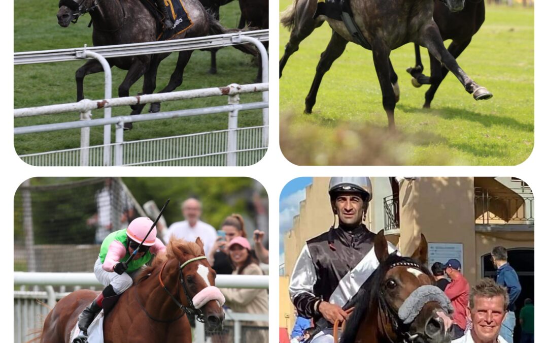 DIE GRUPPE SIEGER 2021