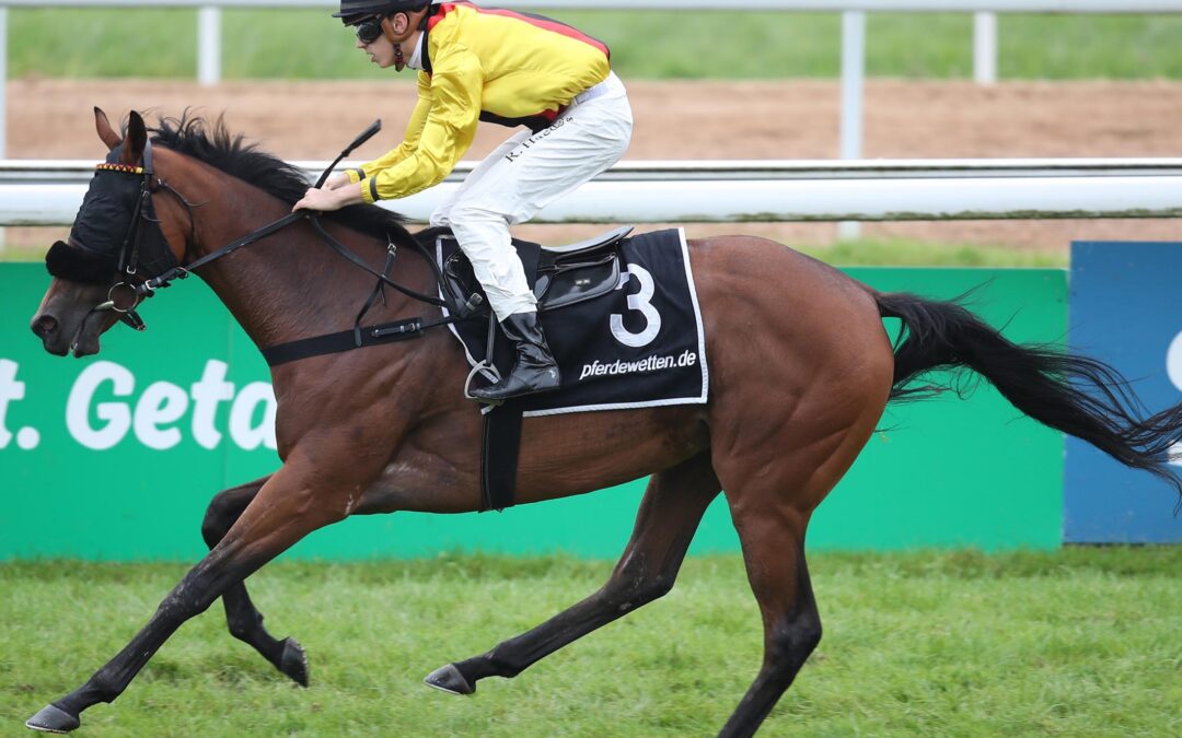 ALIRA DIESMAL MIT PLATZ FÜNF