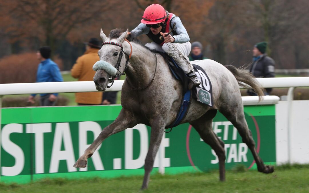 PALATINA GLEICH GANZ VORNE